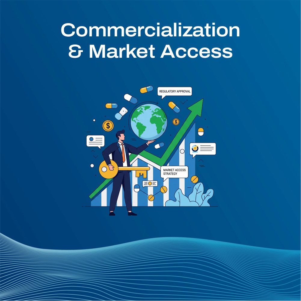 Commercialization & Market Access