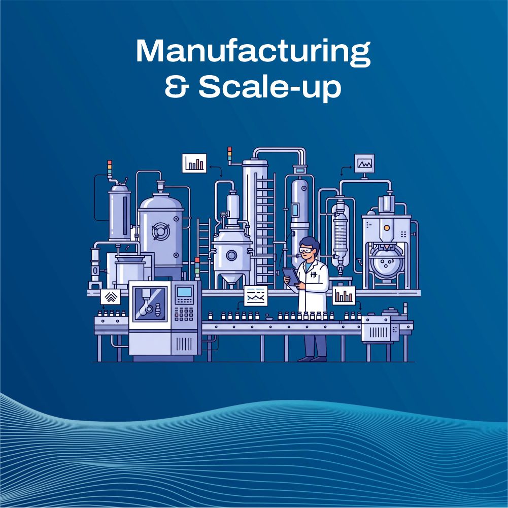 Manufacturing & Scale-Up
